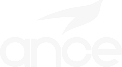 Ance Recovery logo