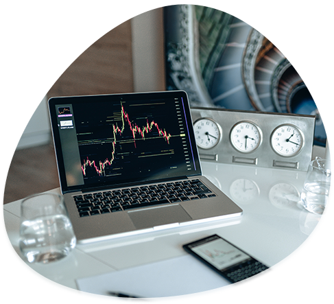 Custom Web Design Company