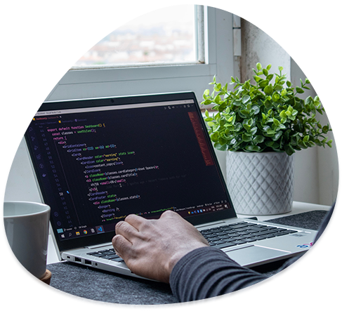 Custom Web Design Company