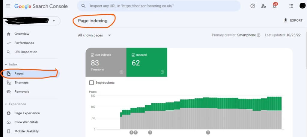 Google Search Console Page Indexing