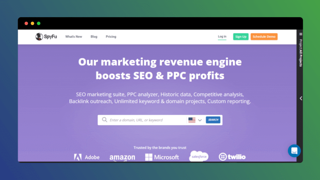 SpyFu - competitor analysis example website 4